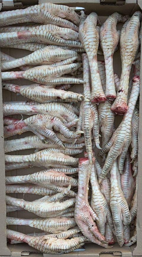 Лапки индейки