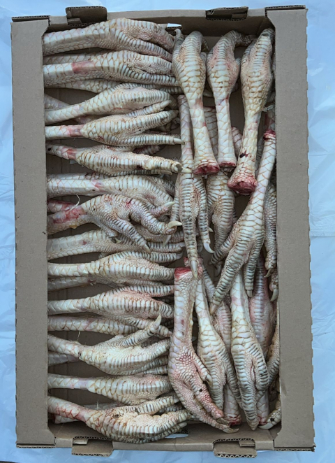 Лапки индейки