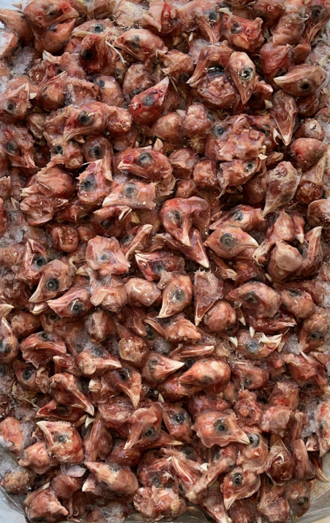 Головы кур корнишонов (попадаются перья)