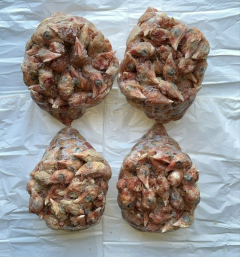 Головы кур корнишонов (попадаются перья)